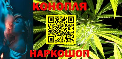 стафф Можга