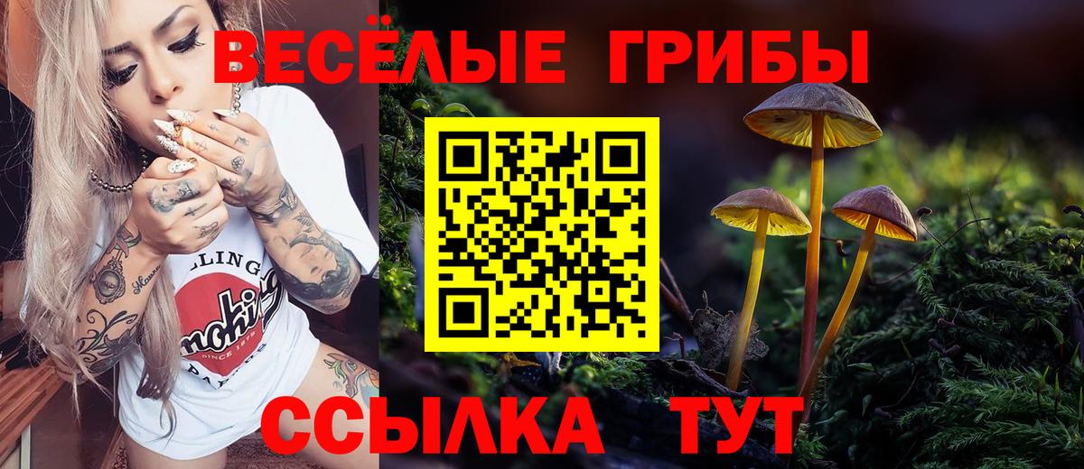 Галлюциногенные грибы Psilocybine cubensis  Вход с VPN  Среднеуральск 